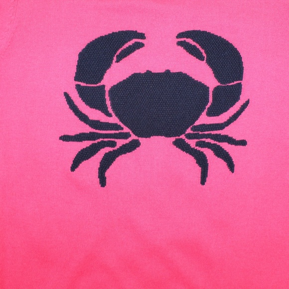 Talbots Pink & Blue Textured Crab Sweater - Picture 5 of 8